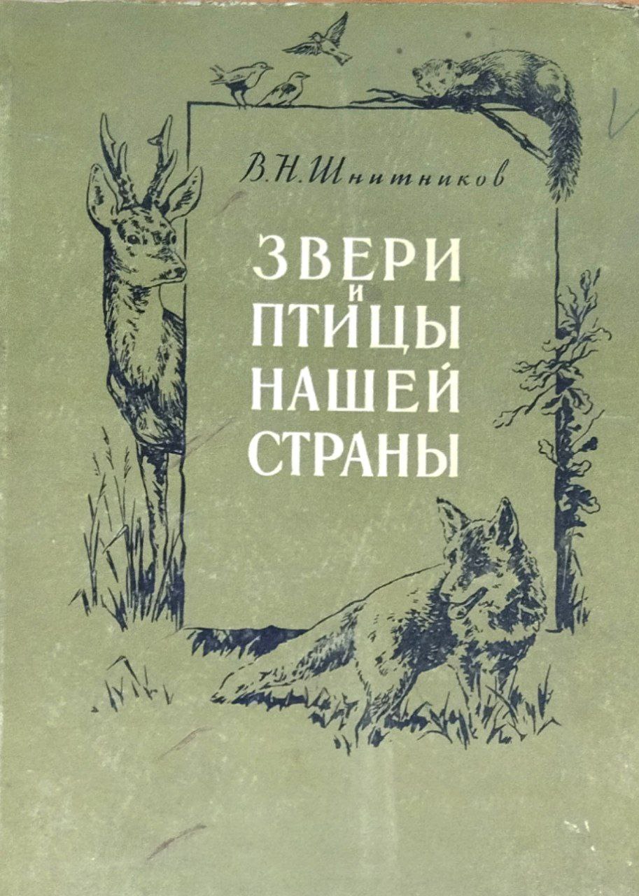 Звери и птицы нашей страны