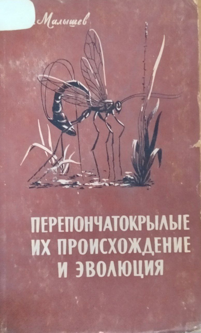 Перепочатокрылые, их происхождение и эволюция