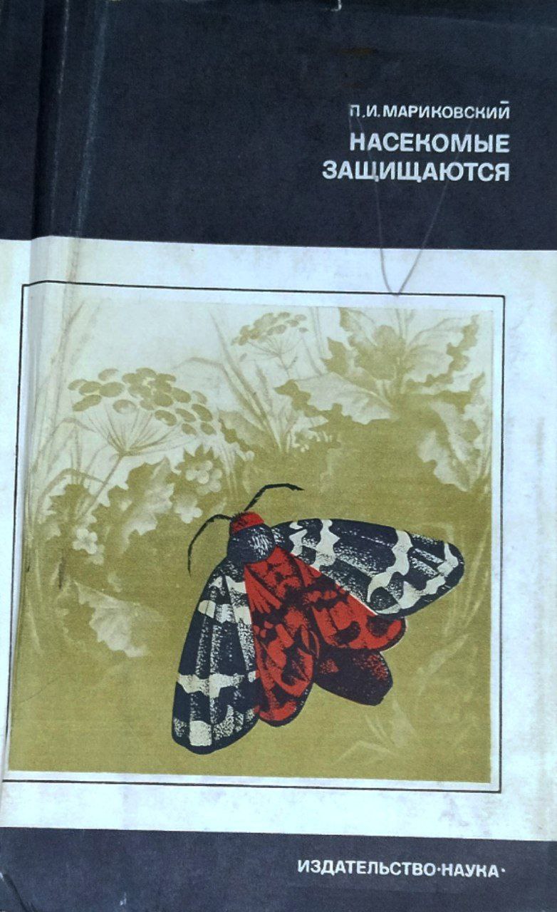 Насекомые защищаются