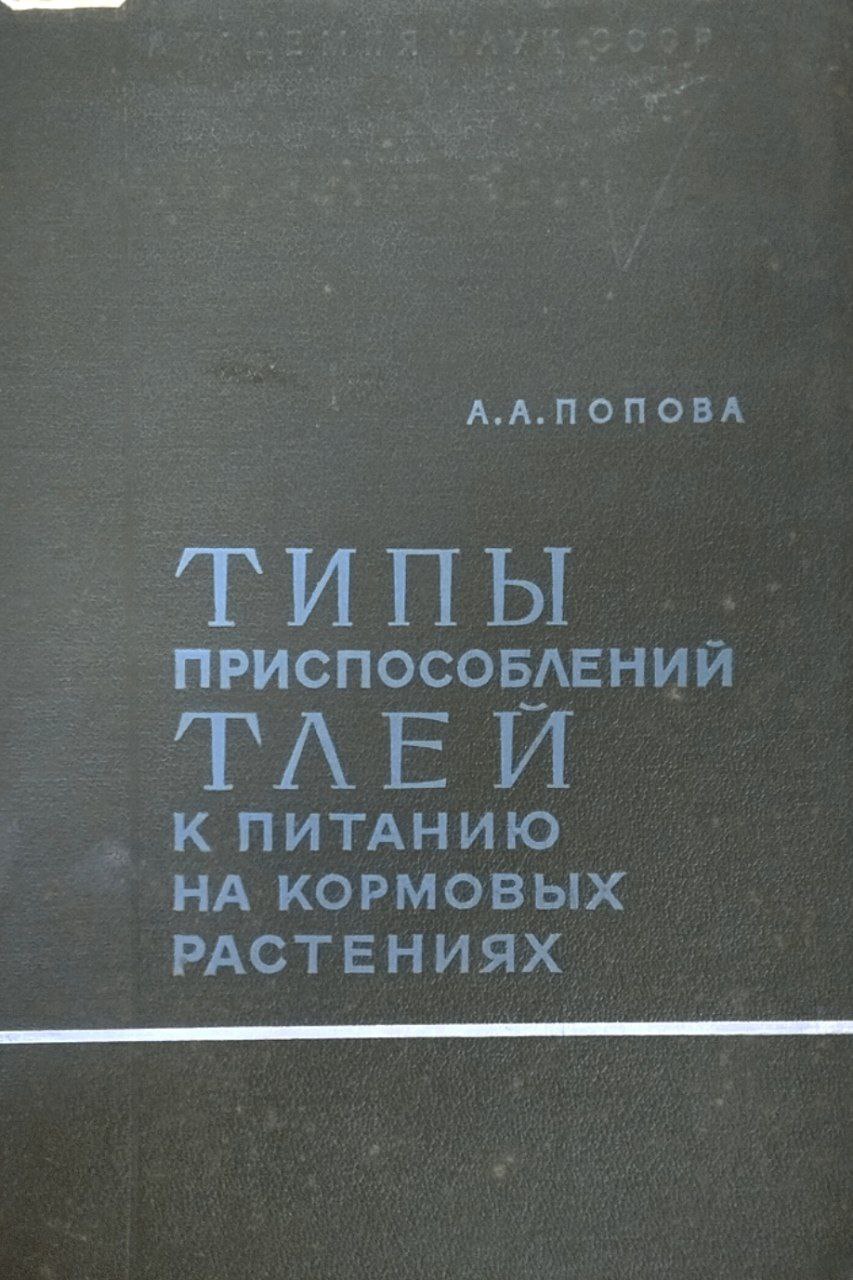 Типы приспособлений тлей к питанию на кормовых растениях