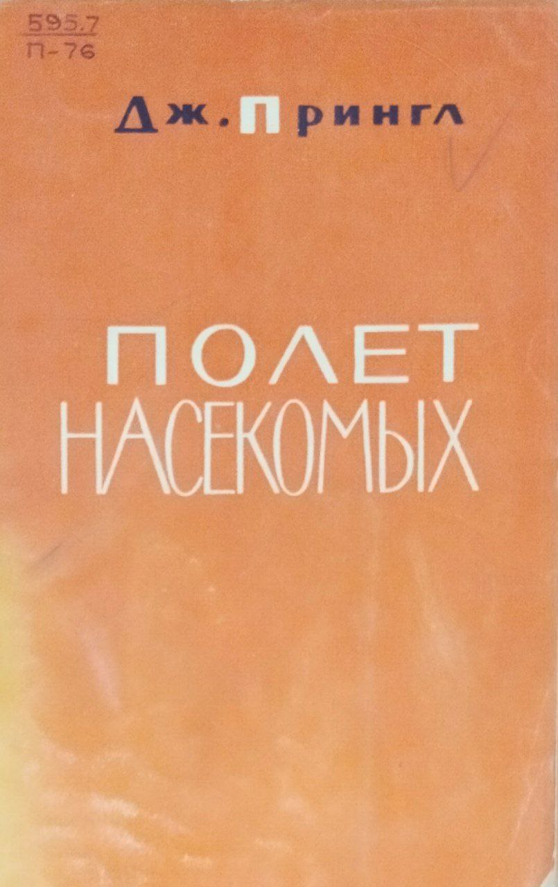 Полет насекомых