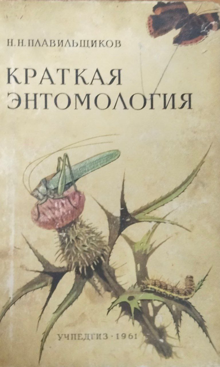 Краткая энтомология
