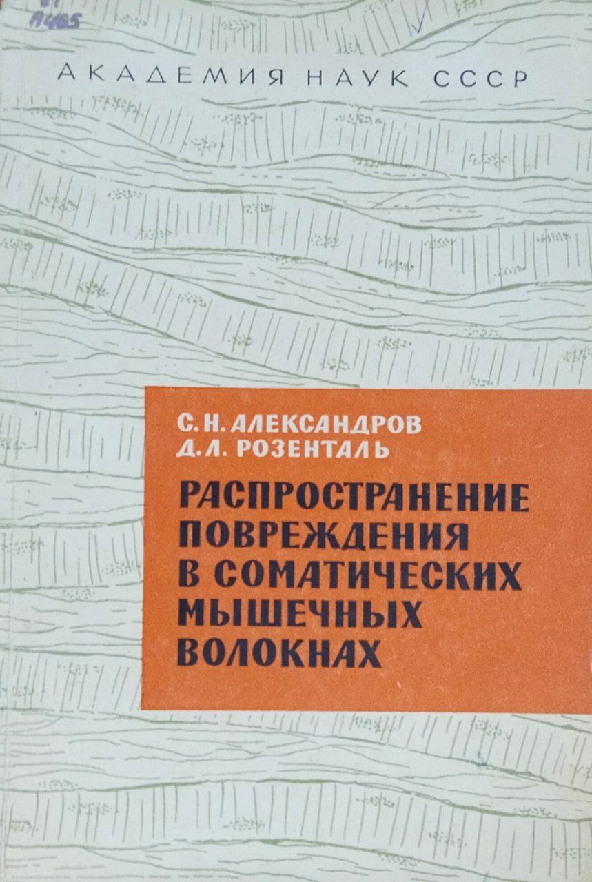 Распространение повреждения в соматических мышечных волокнах