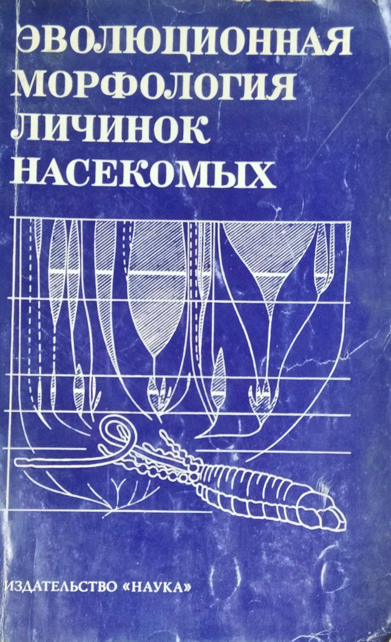 Эволюционная морфология личинок насекомых