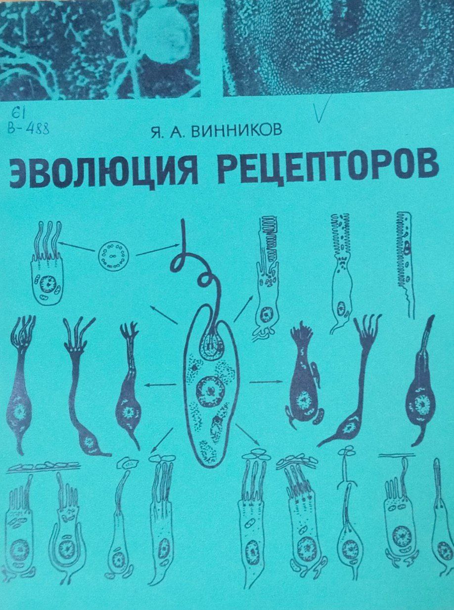 Эволюция рецепторов. Цитологический мембранный и молекулярный уровни