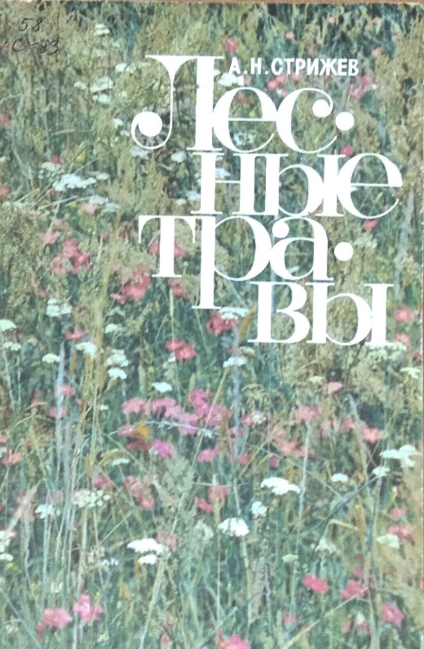 Лесные травы