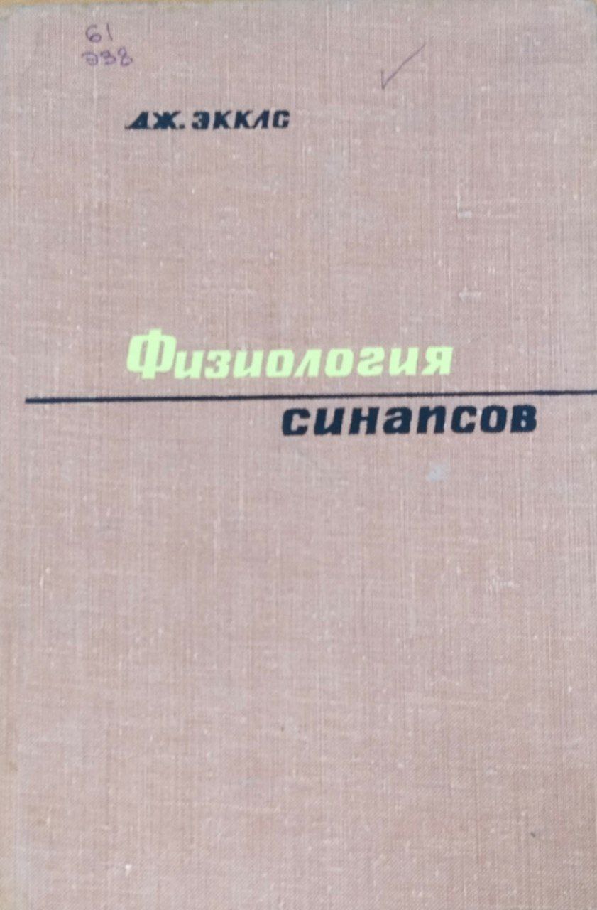 Физиология синапсов