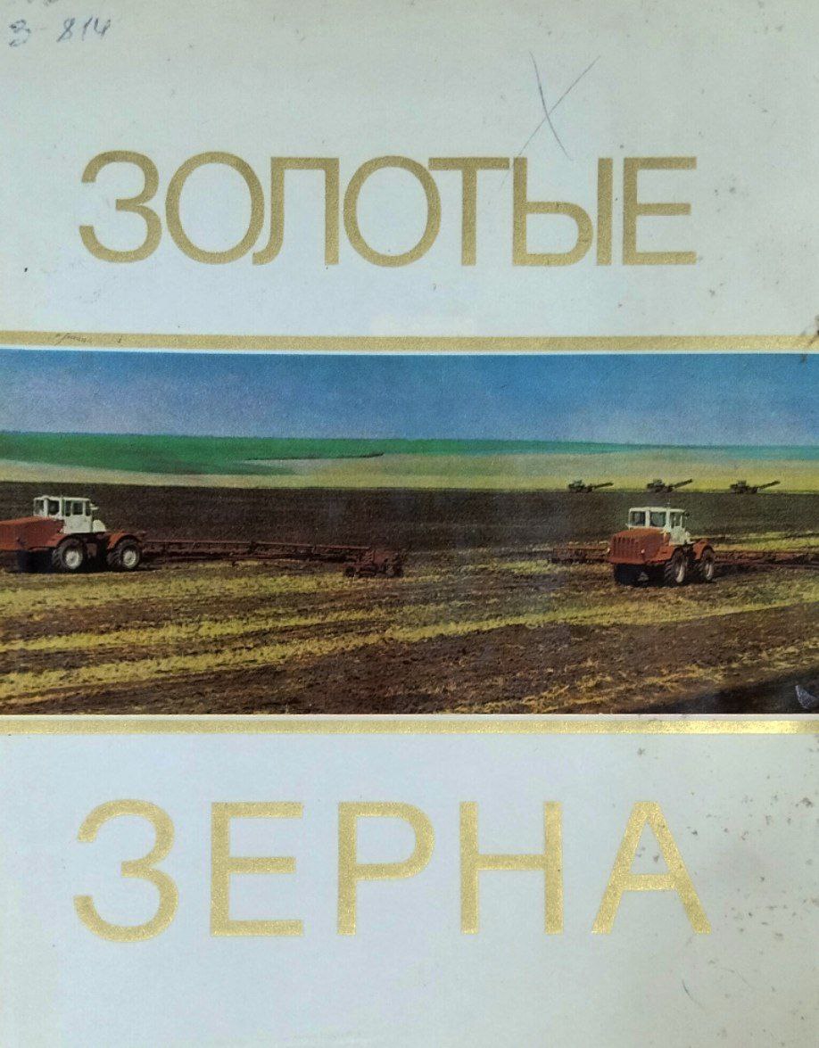 Золотые зерна