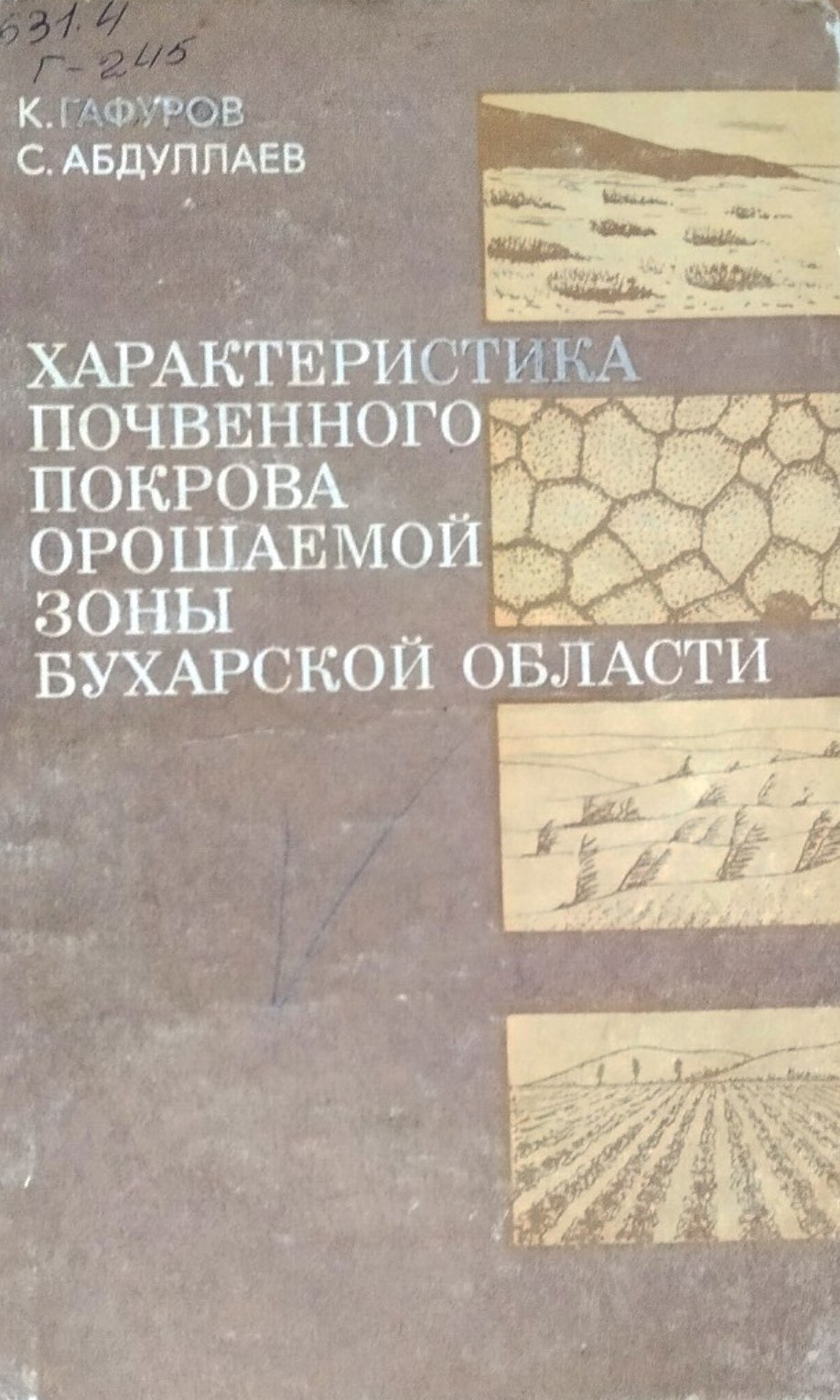 Характеристика почвенного покрова орошаемой зоны Бухарской области