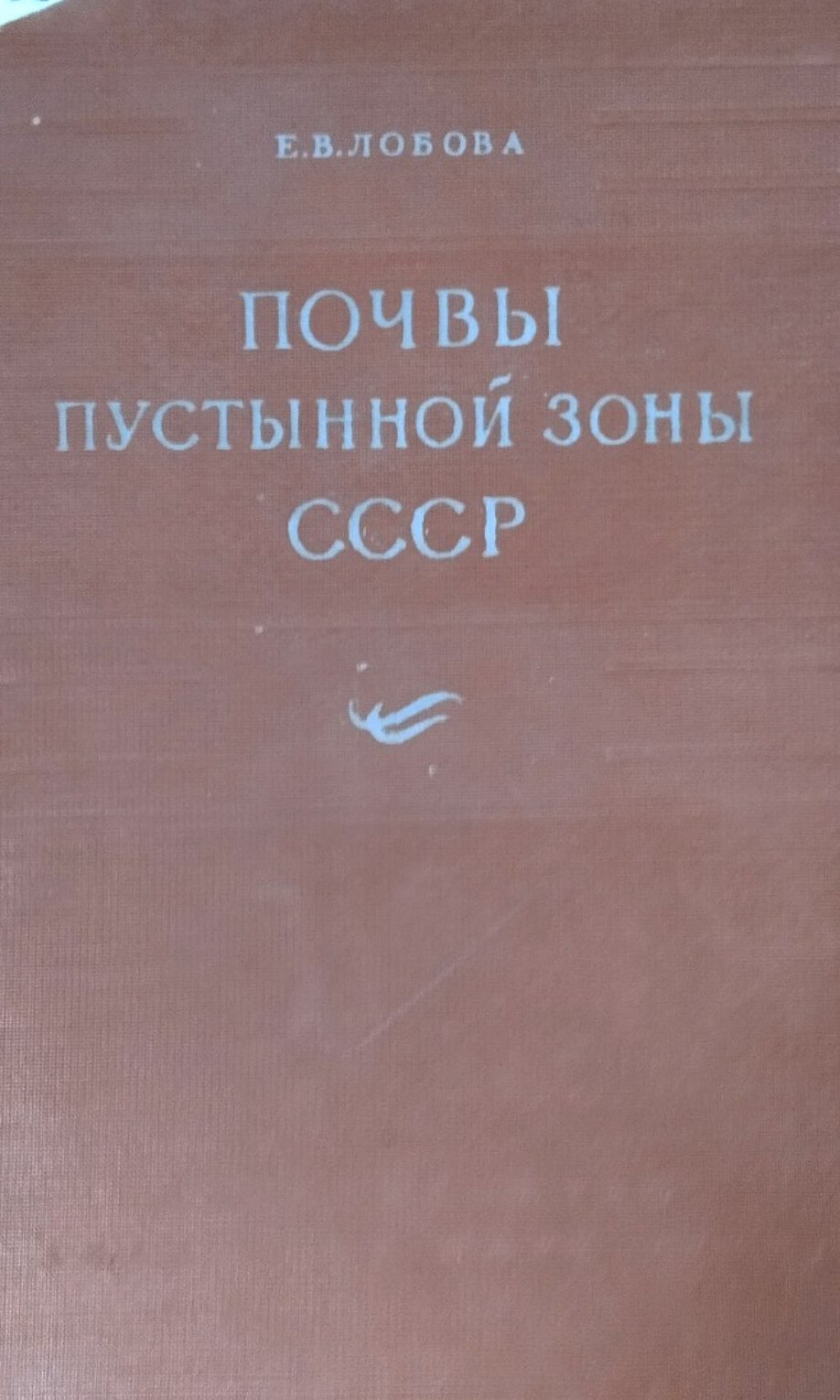 Почвы пустынной зоны