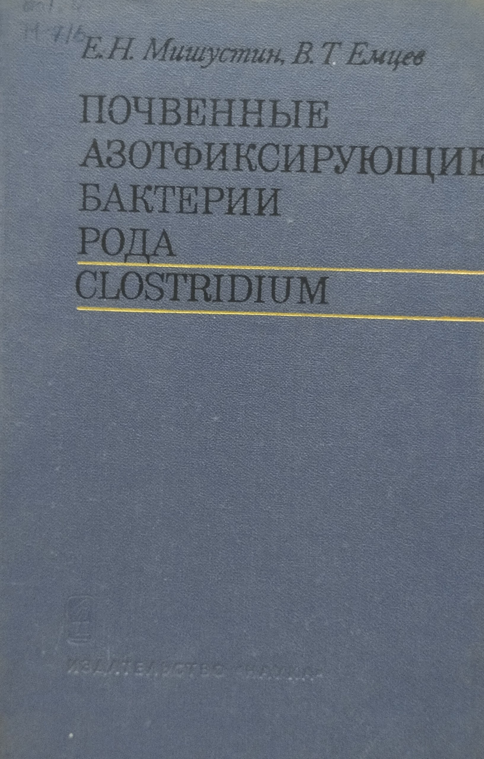Почвенные азотофиксирующие бактерии рода Clostridium
