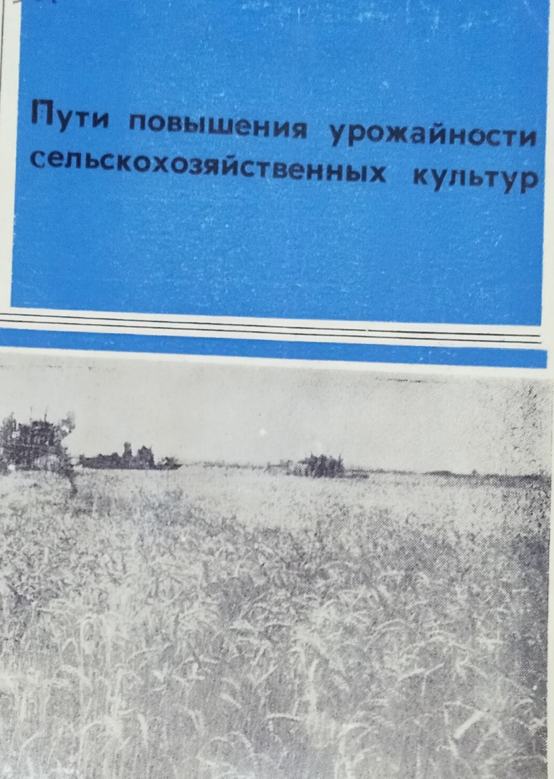 Пути повышения урожайности сельскохозяйственных культур