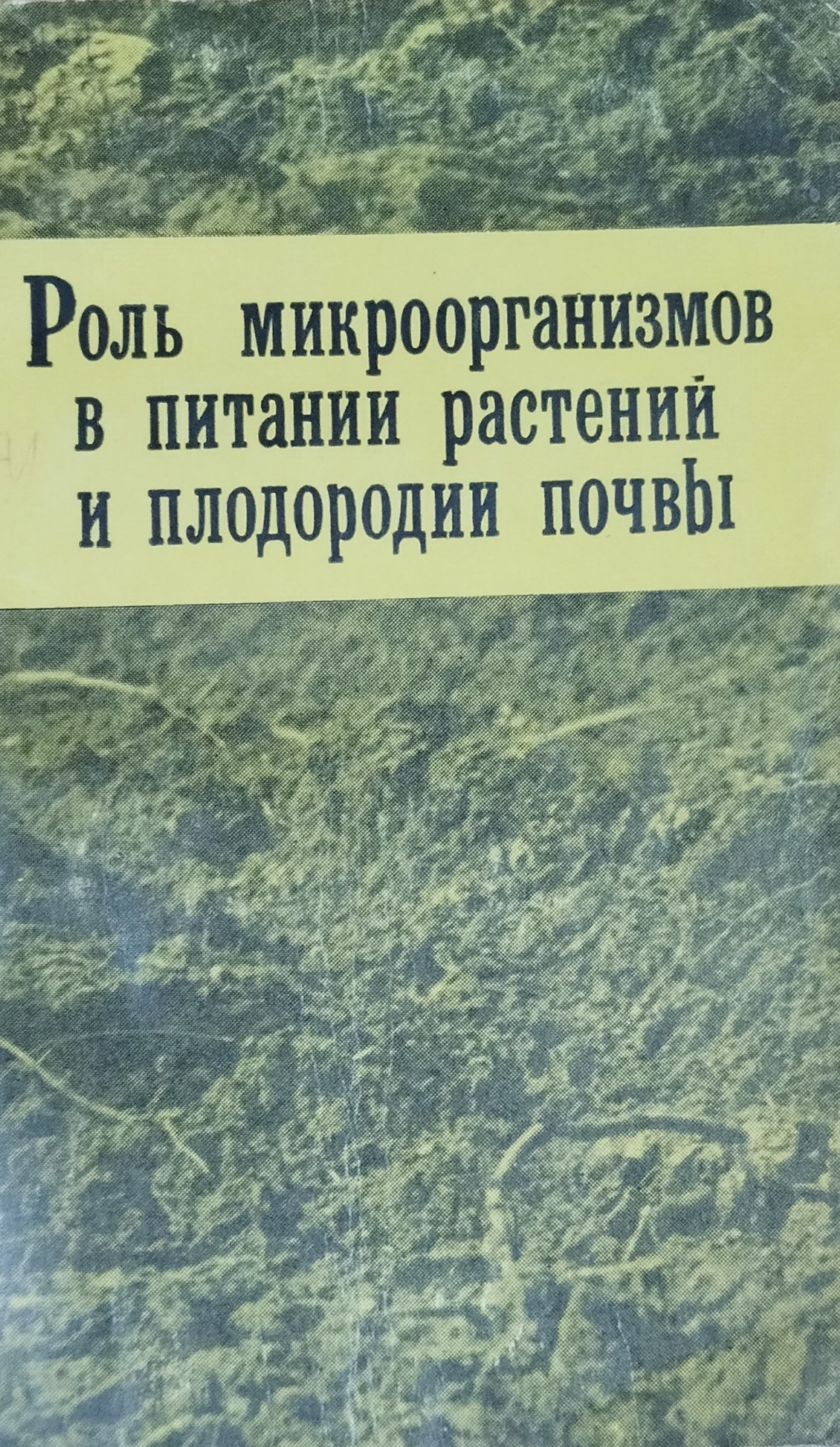 Роль микроорганизмов в питании растений и плодородии почвы