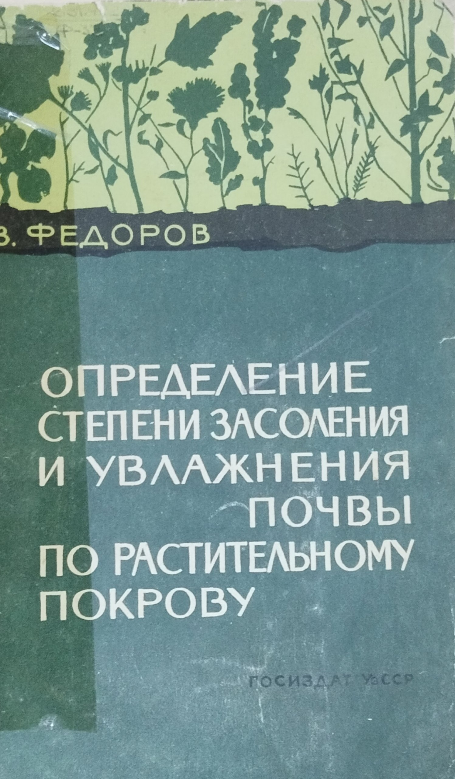 Определение степени засоления и увлажнения почвы по растительному покрову
