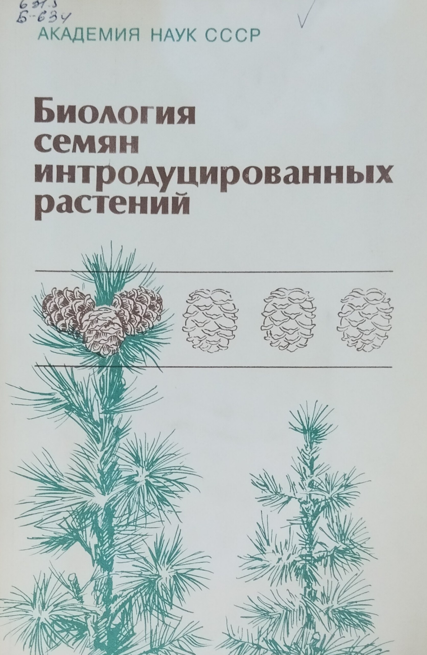 Биология семян интродуцированных растений