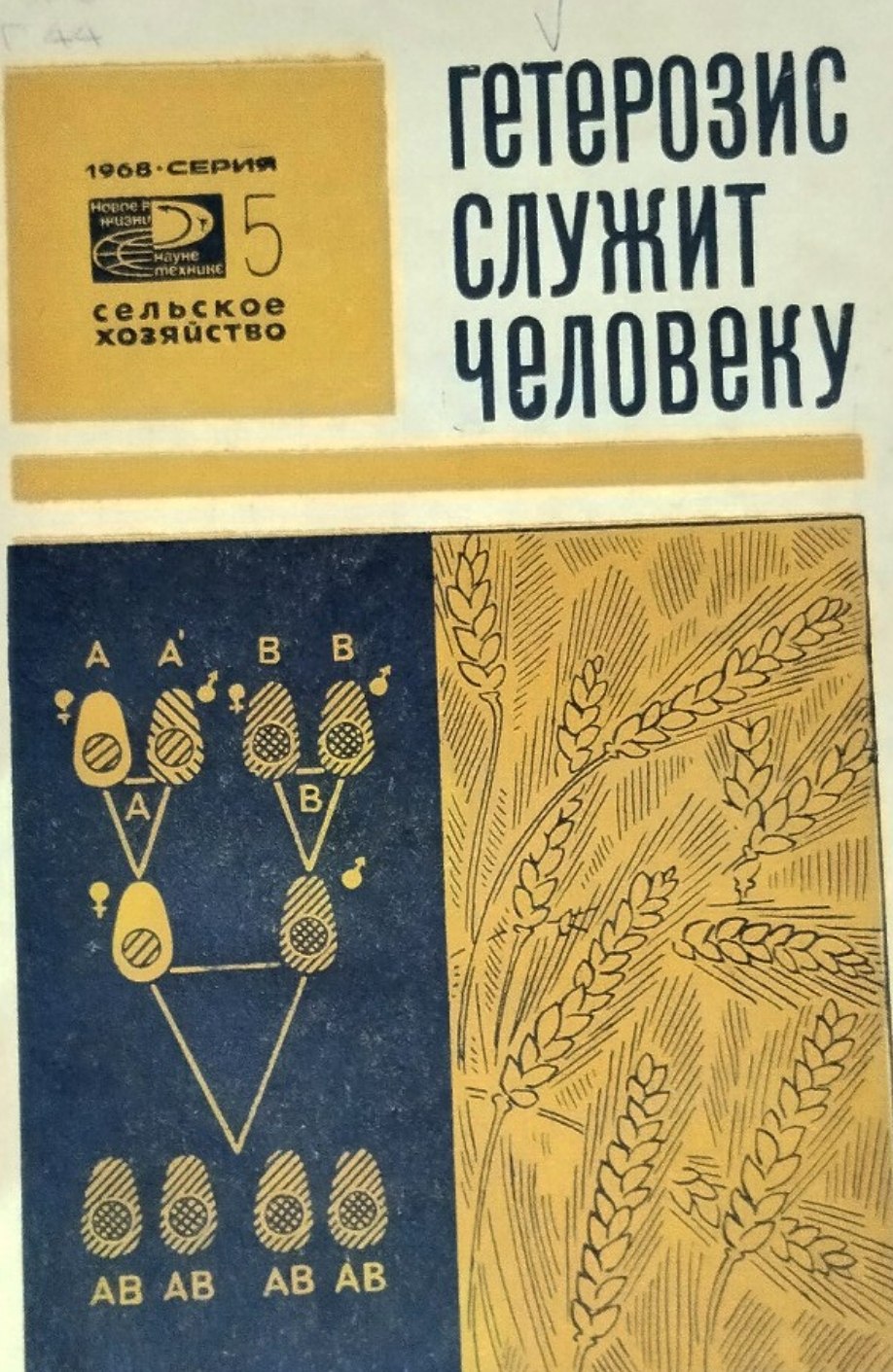 Гетерозис служит человеку