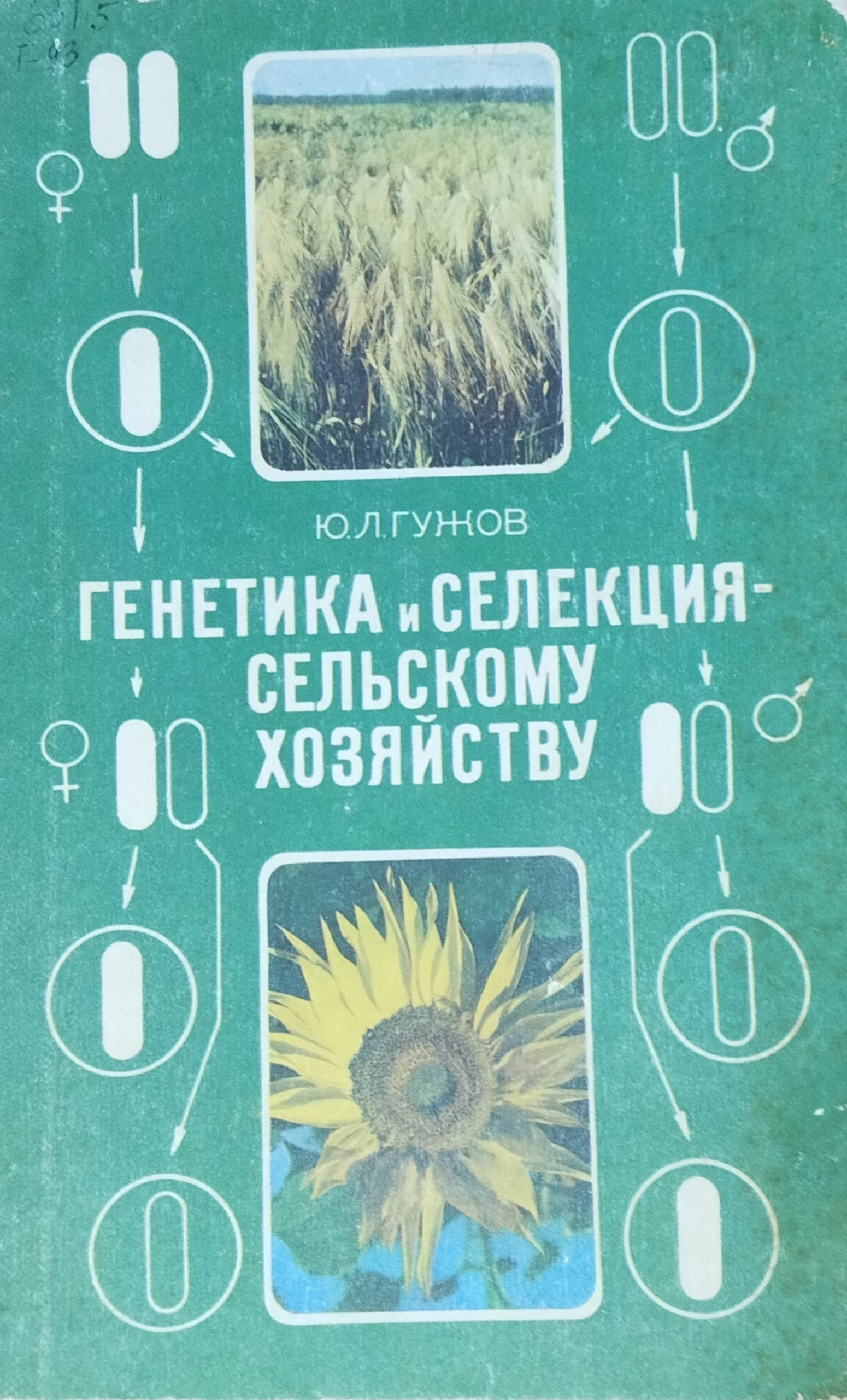Генетика и селекция сельскому хозяйству