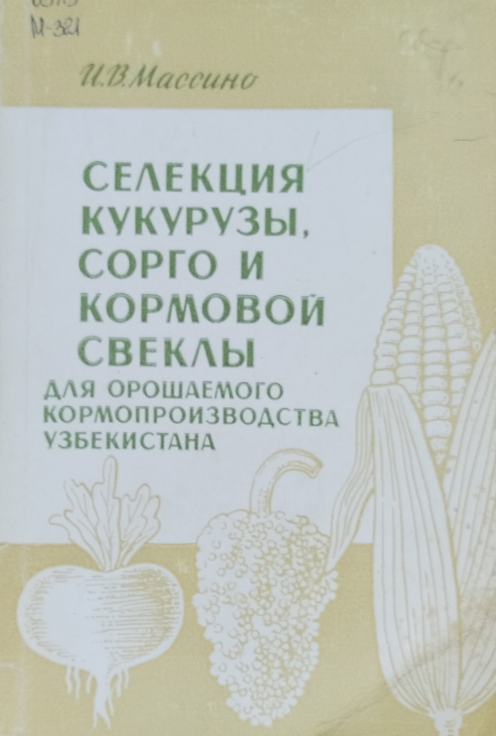Селекция кукурузы, сорго и кормовой свеклы для орошаемого кормопроизводства Узбекистана