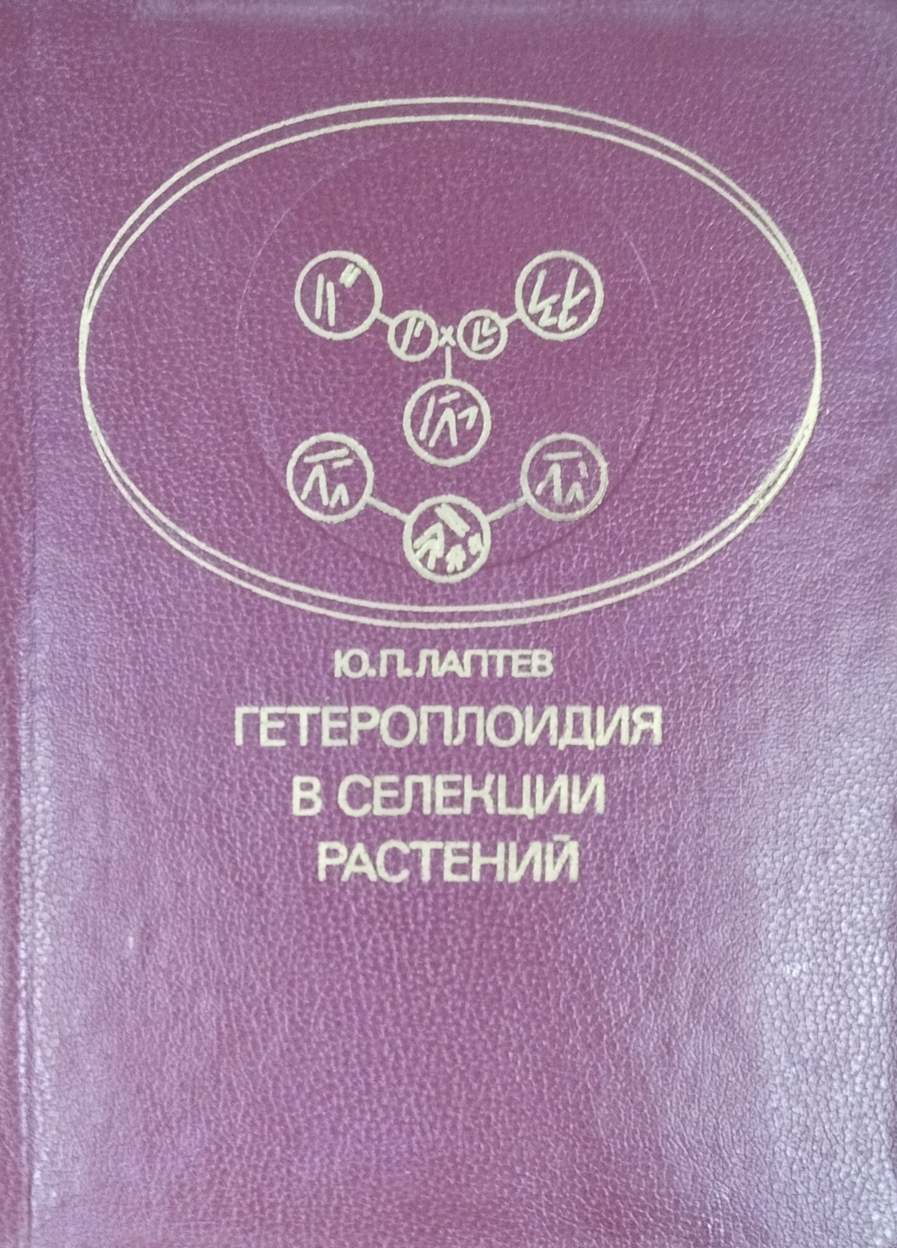 Гетероплоидия в селекции растений