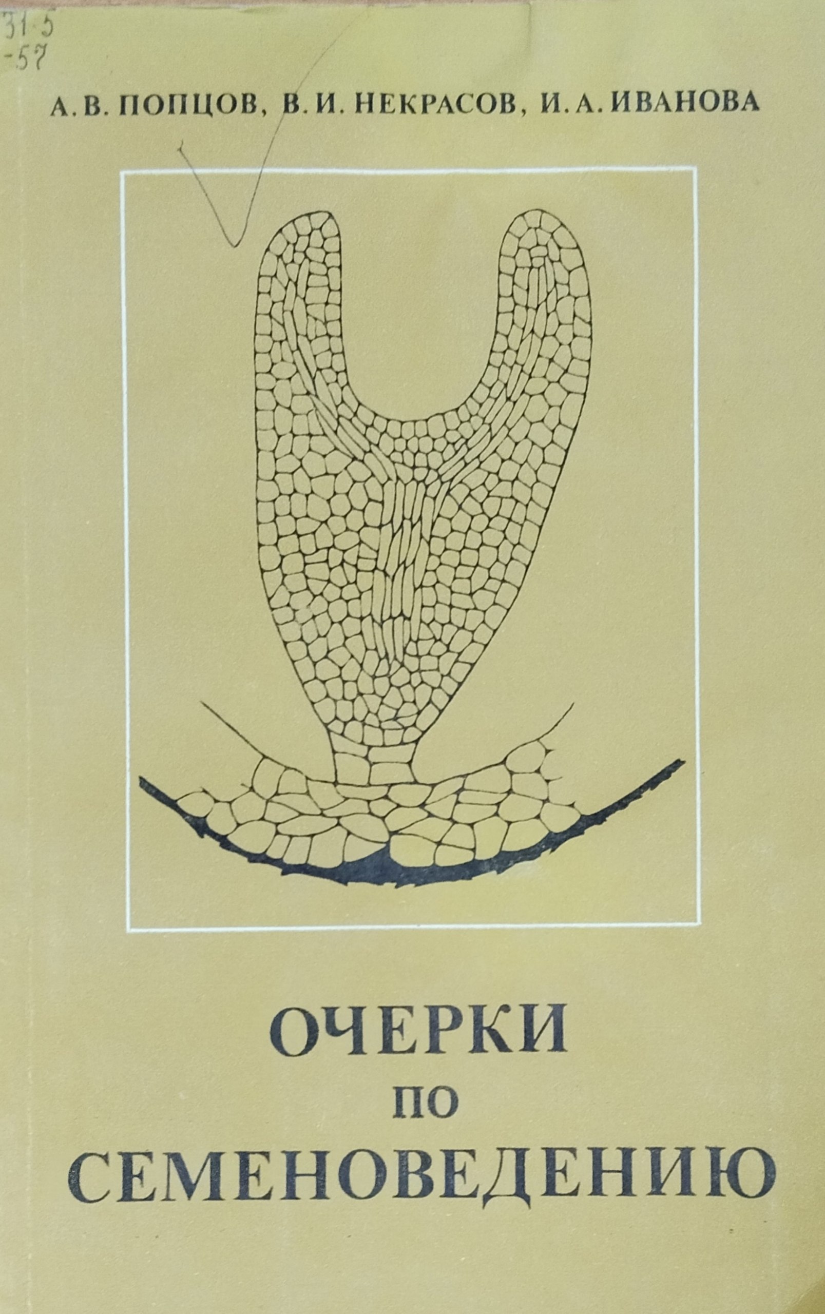 Очерки по семеноведению
