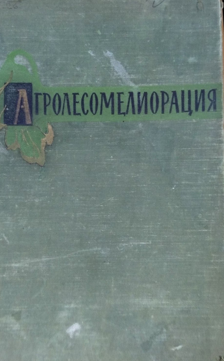 Агролесомелиорация