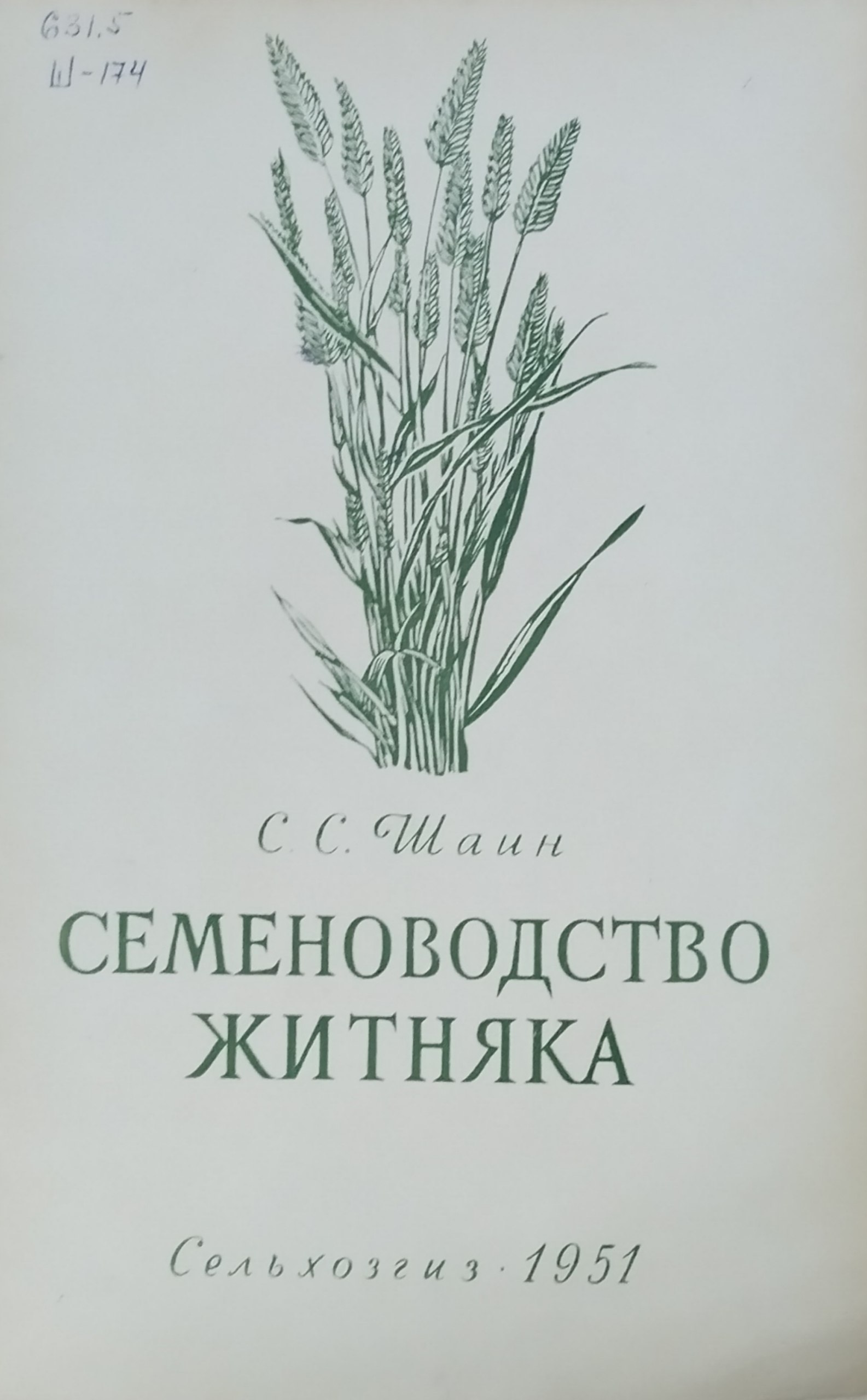 Семеноводство житняка