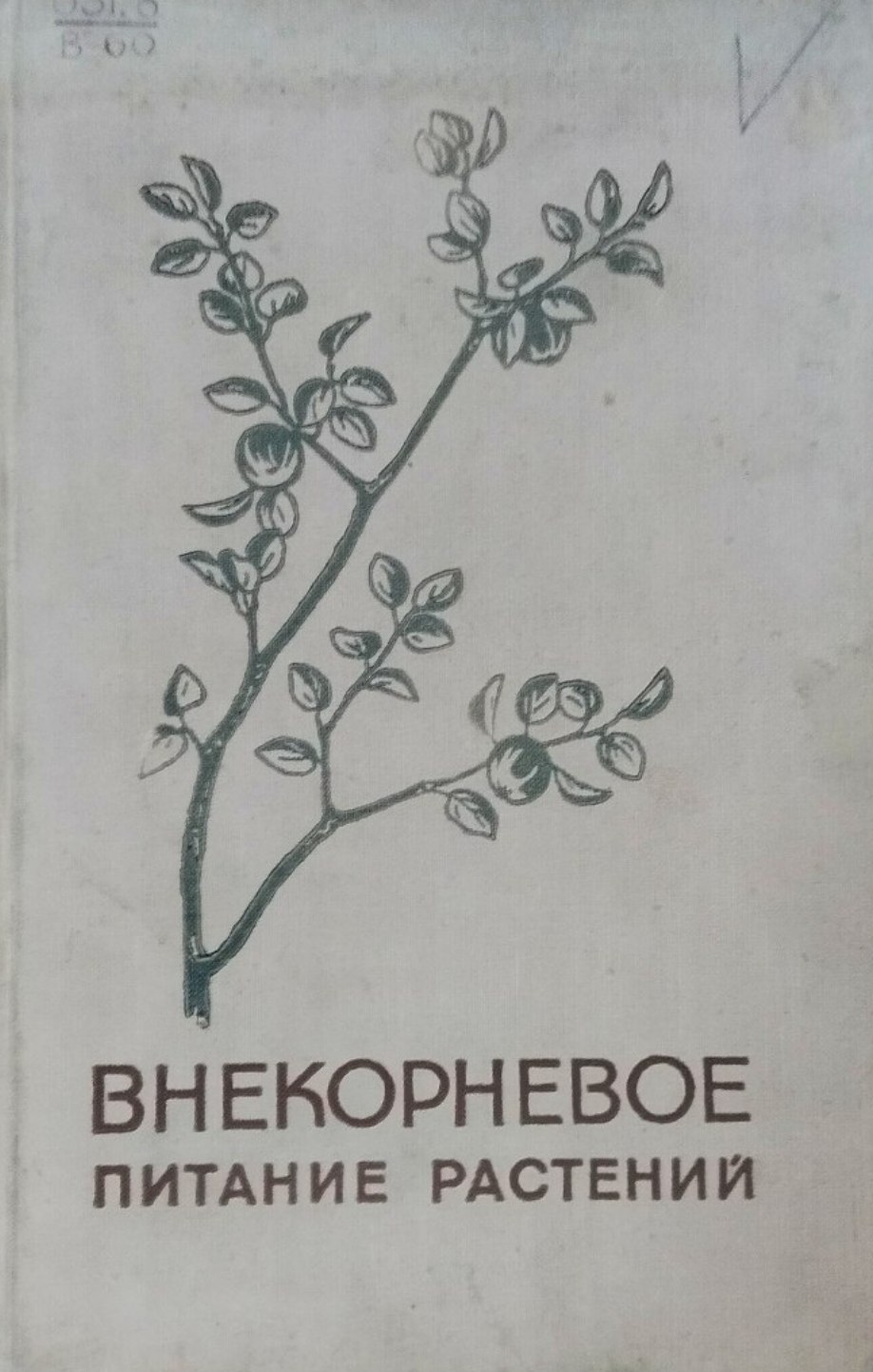 Внекорневое питание растений