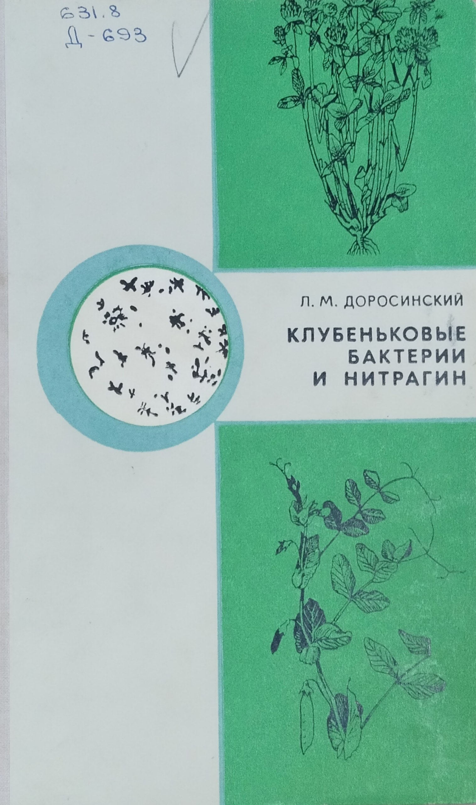 Клубеньковые бактерии и нитрагин