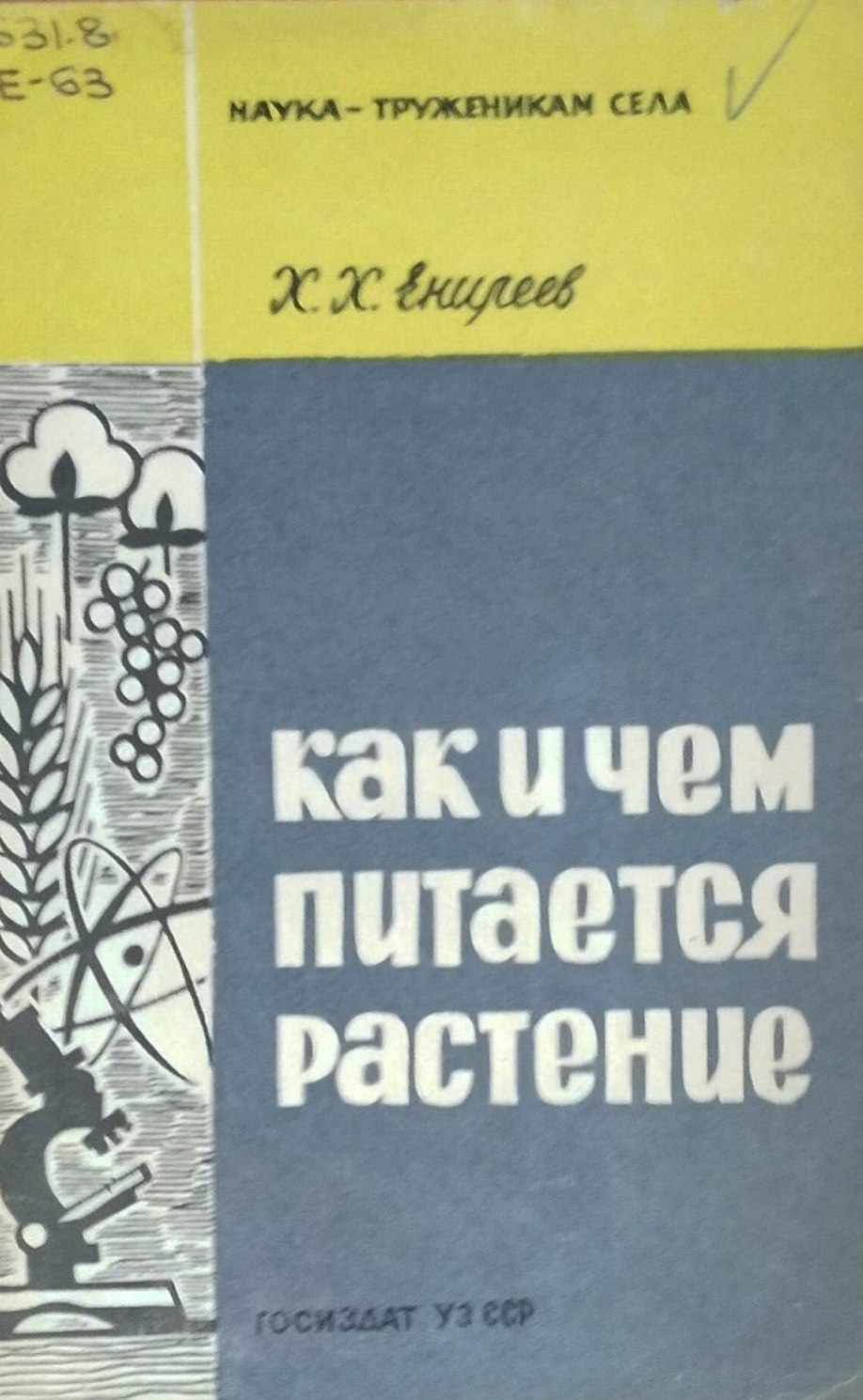 Как и чем питается растение