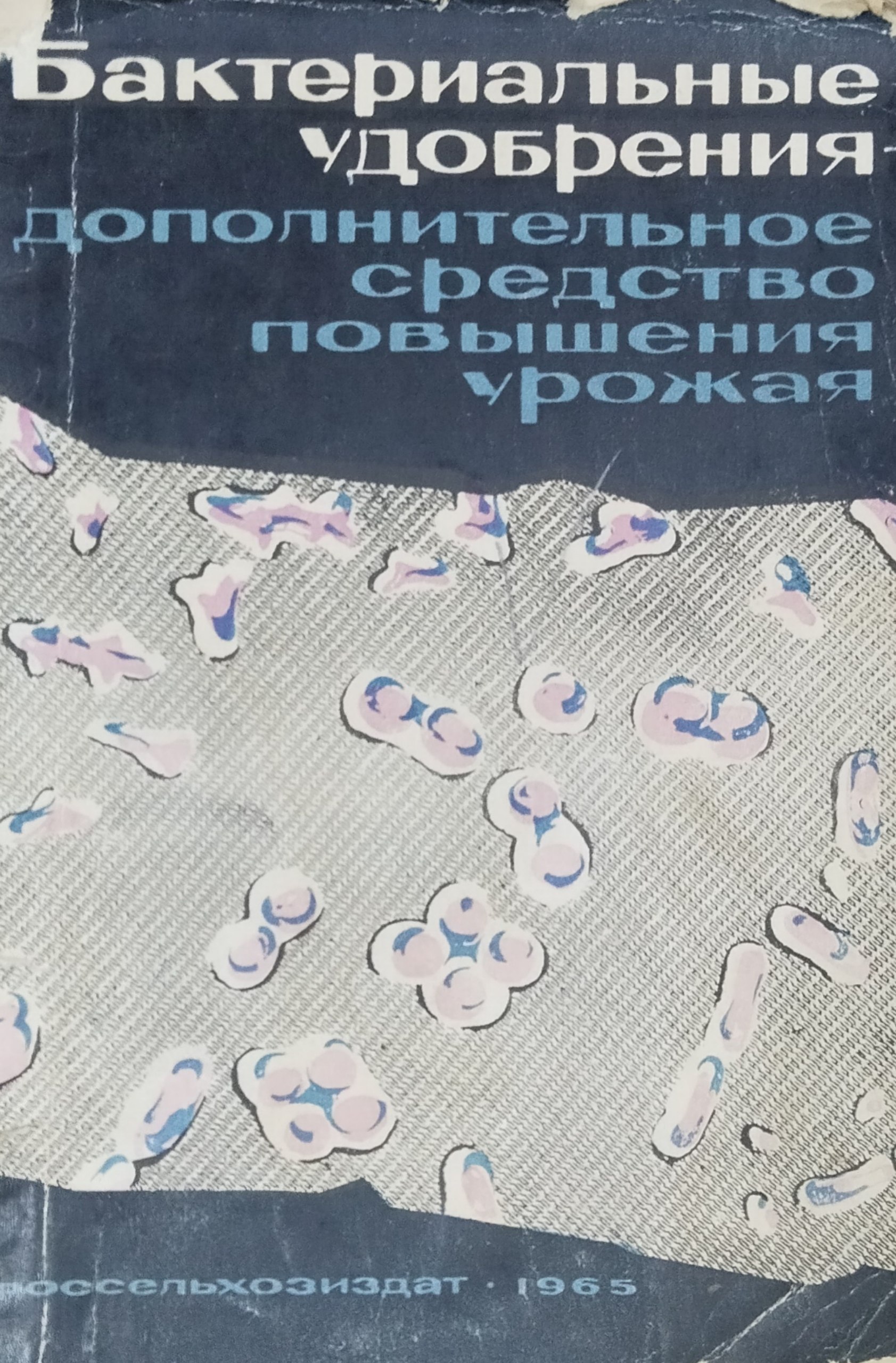 Бактериальные удобрения-допольнительное средство повышения урожая