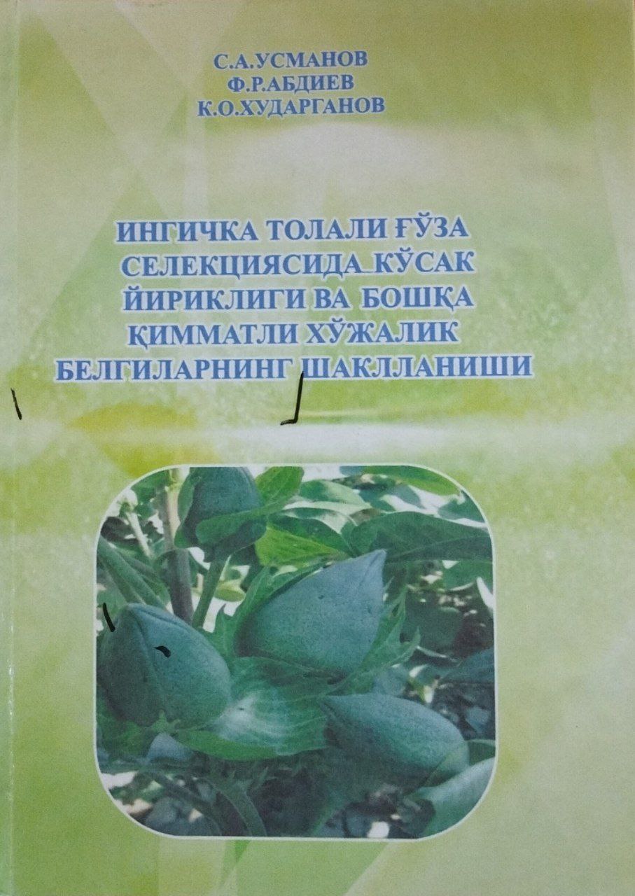 Ингичка толали ғўза селекциясида кўсак йириклиги ва бошқа қимматли хўжалик белгиларининг шаклланиши