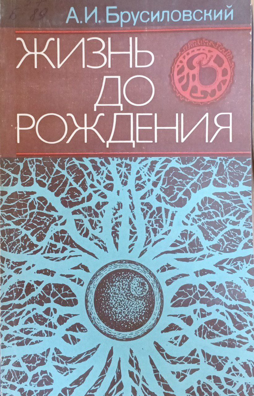 Жизнь до рождения