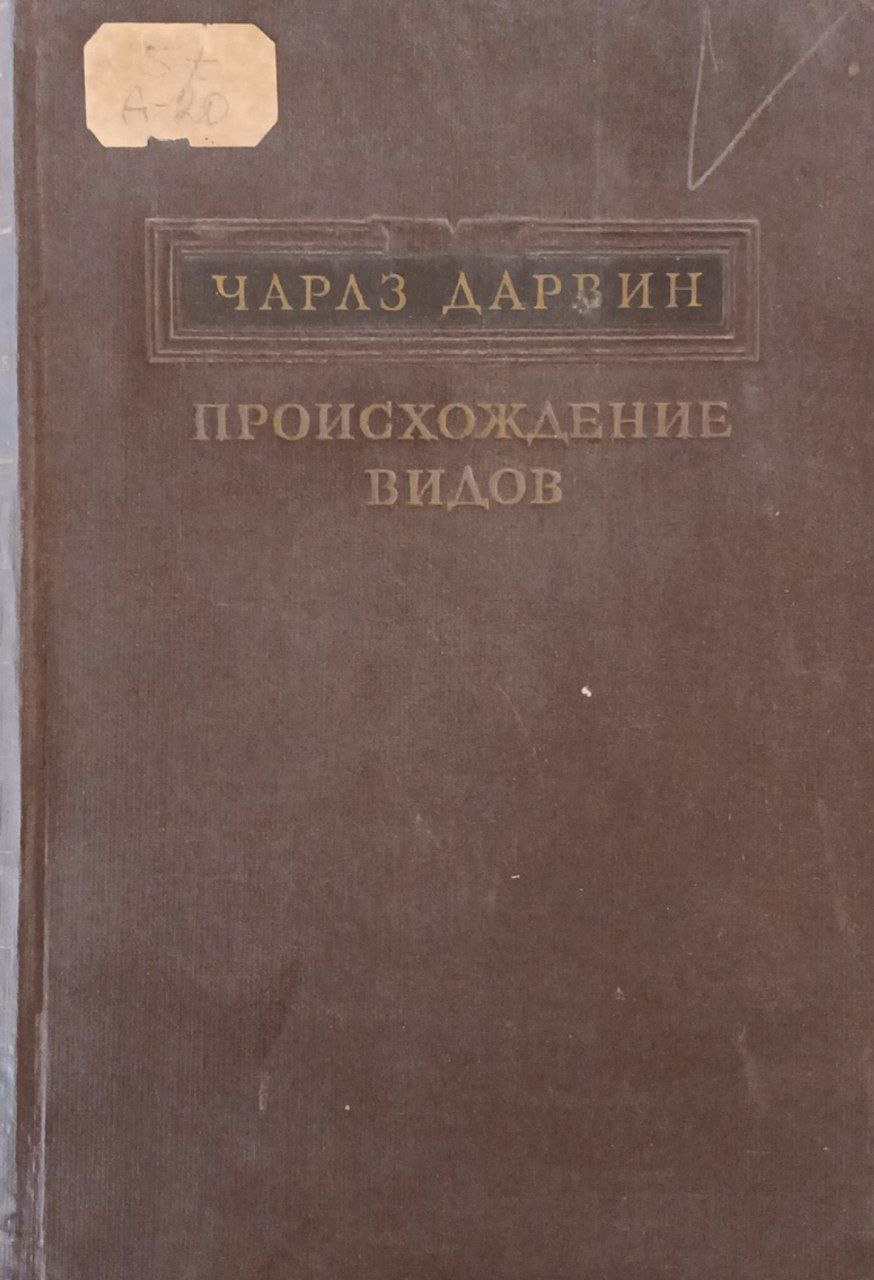 Происхождение видов