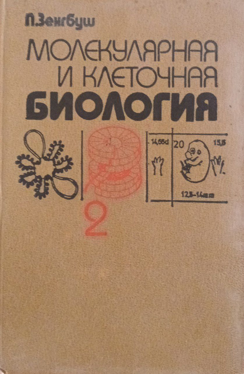 Молекулярная и клеточная биология: В 3-х т. Т. 2
