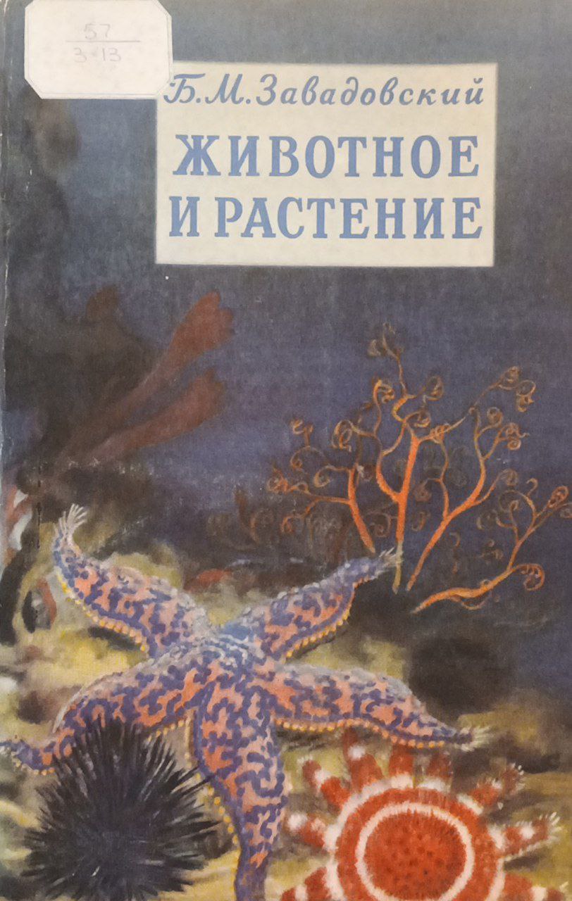 Животное и растение