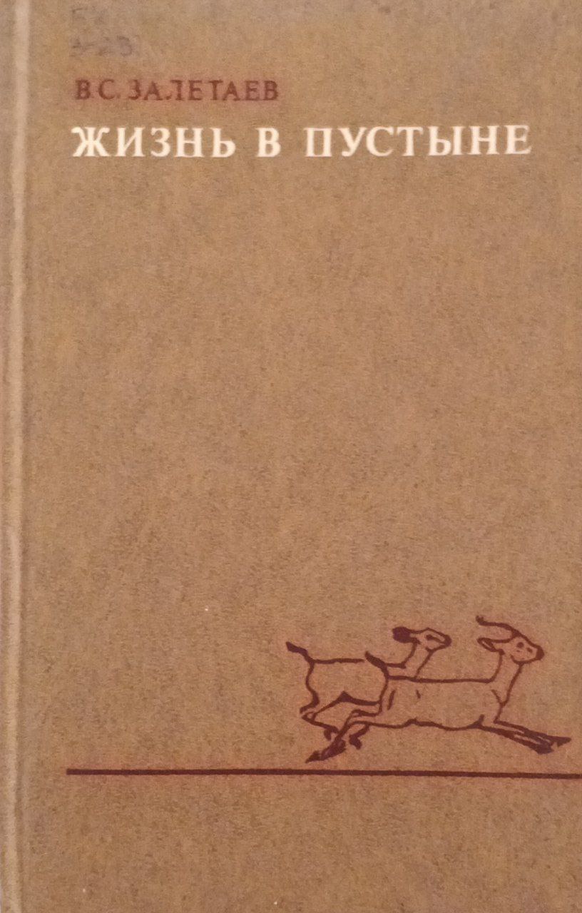 Жизнь в пустыне