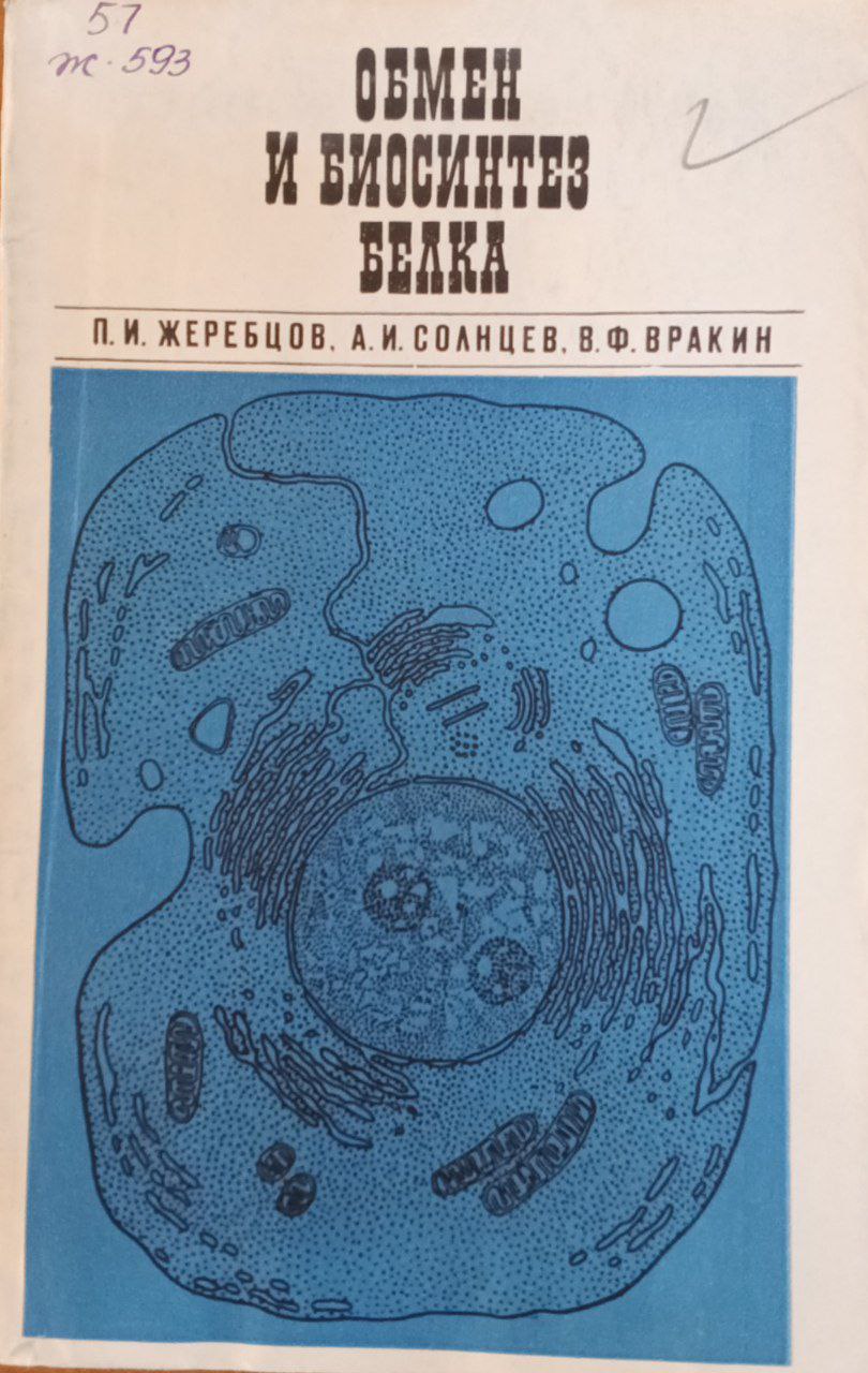 Обмен и биосинтез белка