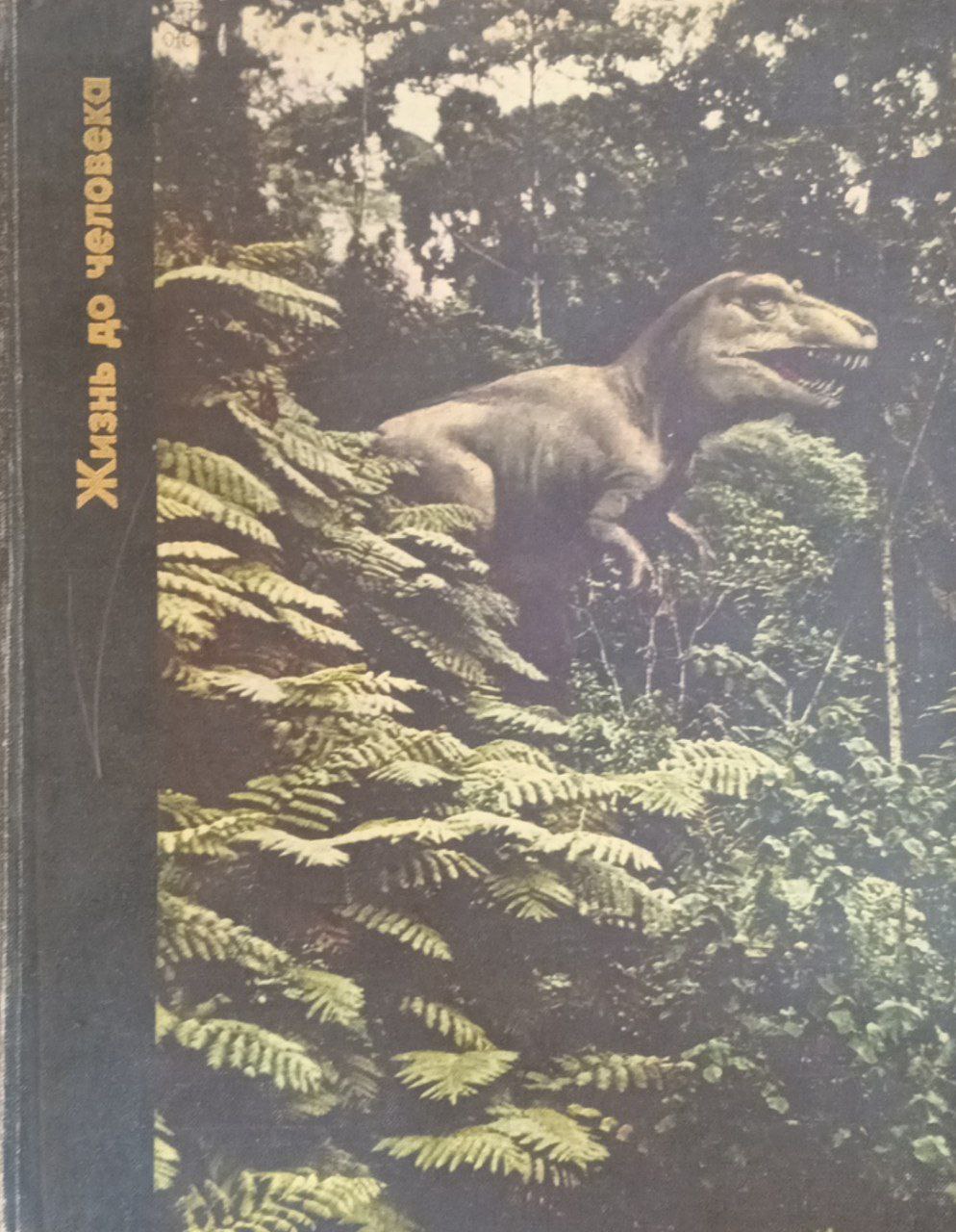 Жизнь до человека