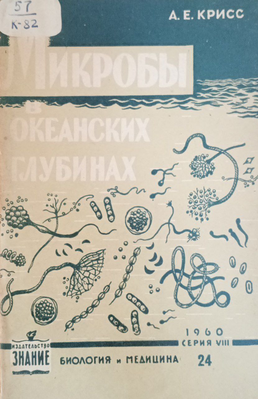 Микробы в океанских глубинах