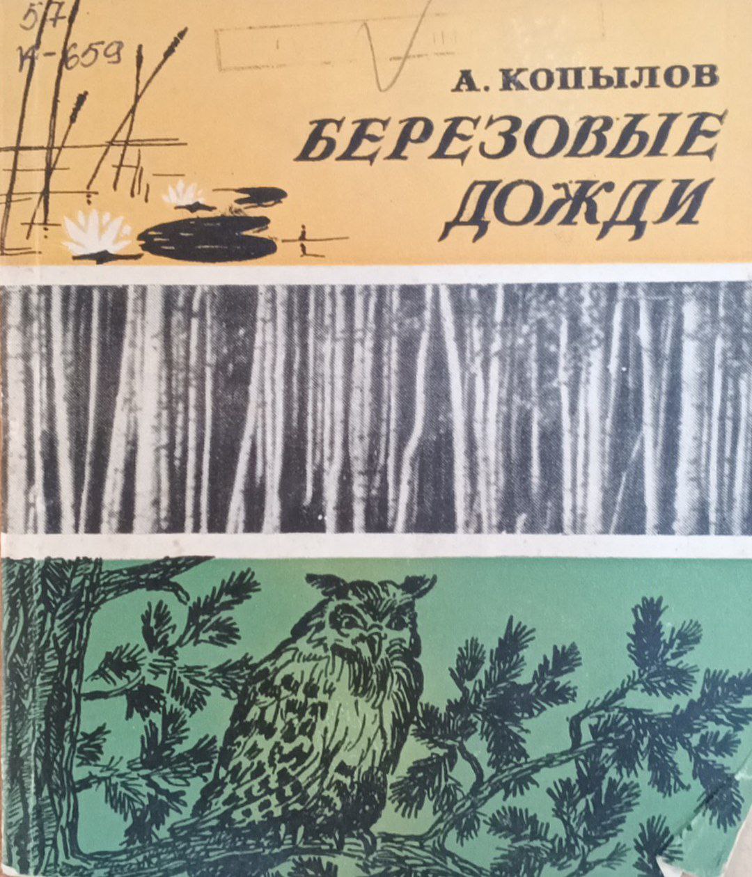 Березовые дожди