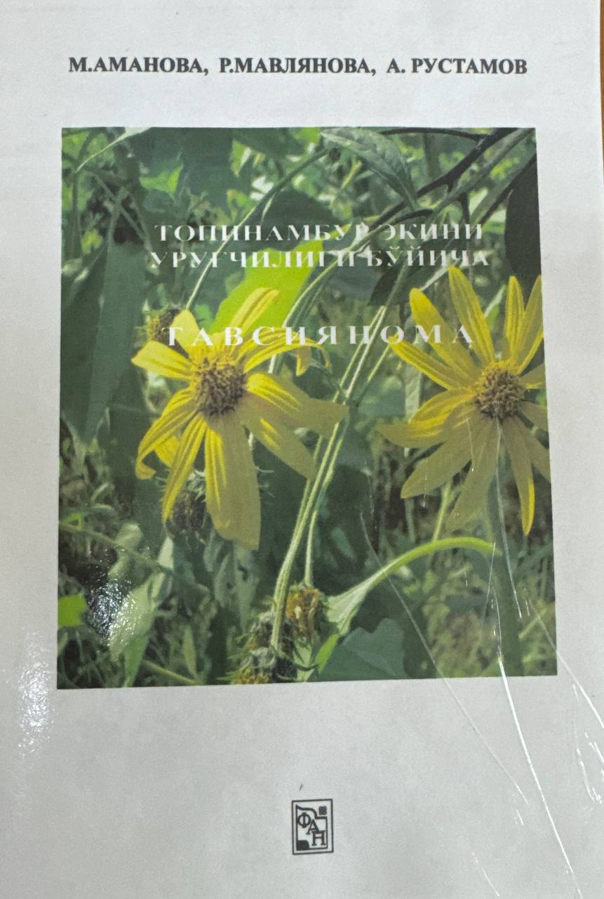 Топинамбур экини уруғчилиги бўйича  тавсиянома