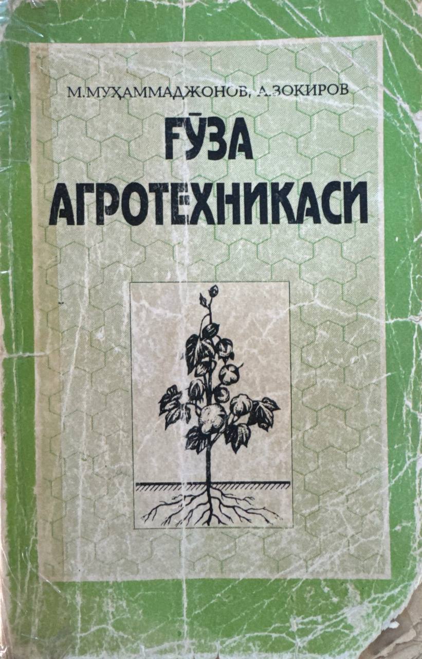 Ғўза агротехникаси