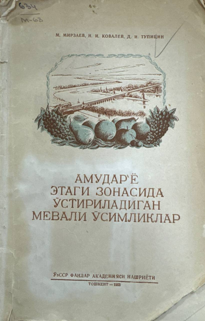 Амударё этаги зонасида ўстириладиган мевали ўсимликлар
