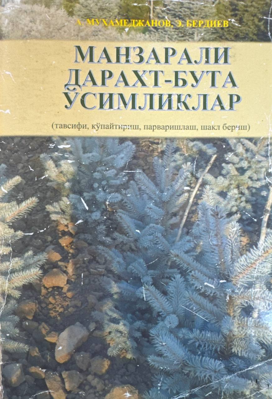 Манзарали дарахт-бута ўсимликлар (тавсифи, кўпайтириш, парваришлаш, шакл бериш)