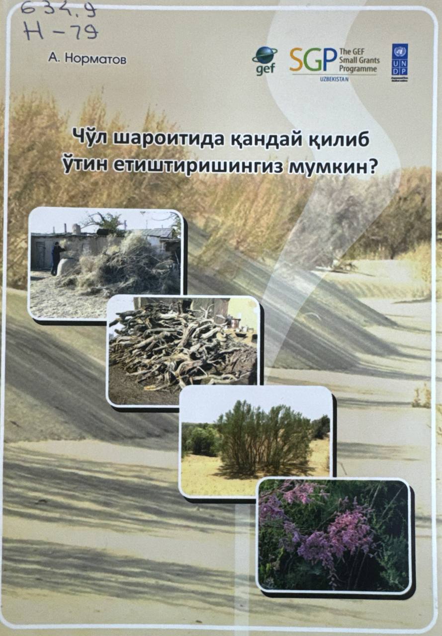 Чўл шароитида қандай қилиб ўтин етиштиришингиз мумкин