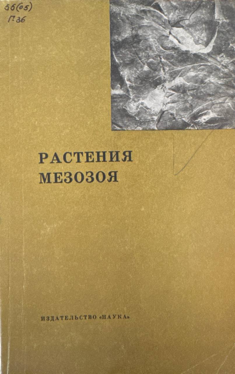 Растения Мезозоя