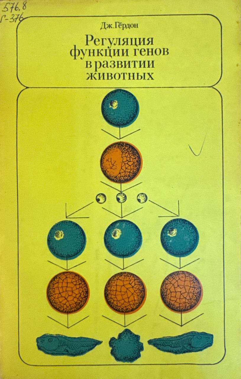Регуляция функции генов в развитии животных