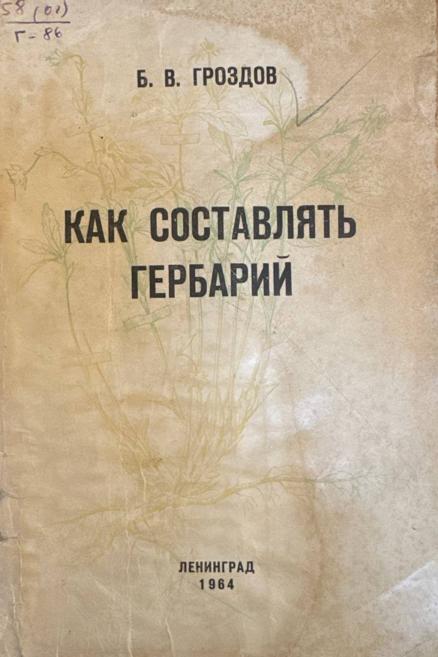 Как составлять гербарий