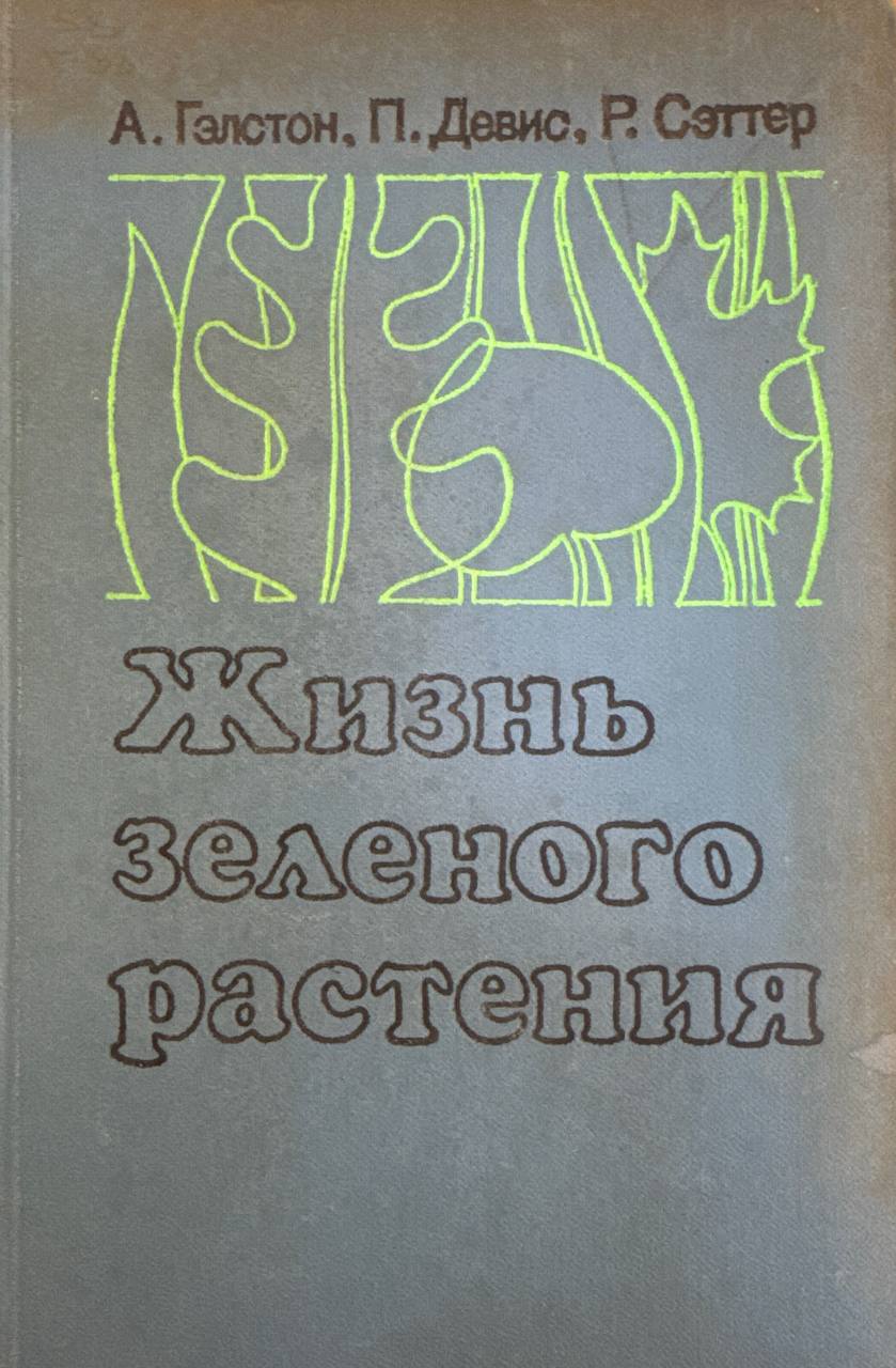 Жизнь зеленого растения