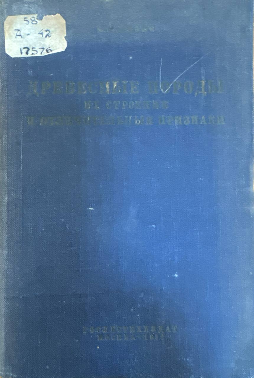 Древесные породы их строение и отличительные признаки